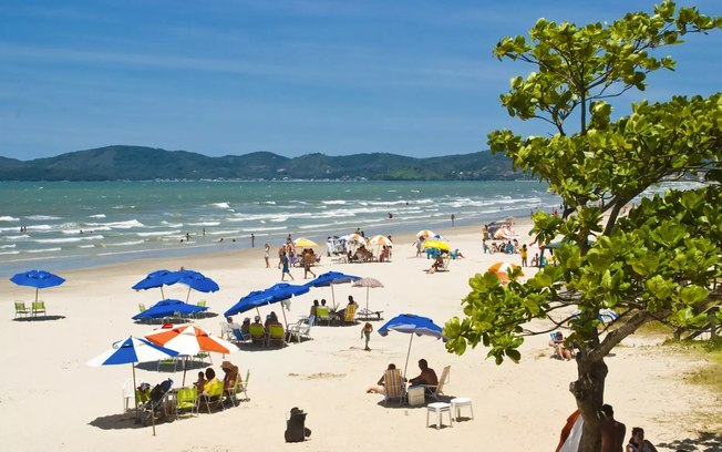 Vendas imobiliárias alcançam R$ 14,6 bi em 2025