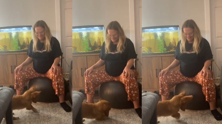 Cachorro acompanha dona grávida em exercício e viraliza: ‘Apoio
moral’