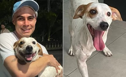 Tatá Werneck e Rafa Vitti adotam cachorro com deficiência