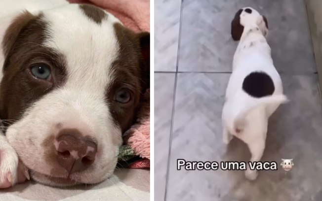 5emqz5t1mdjpgqxwm42wmq4ui