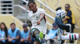 Cão vidente prevê ganhador de Fluminense x Chelsea; assista