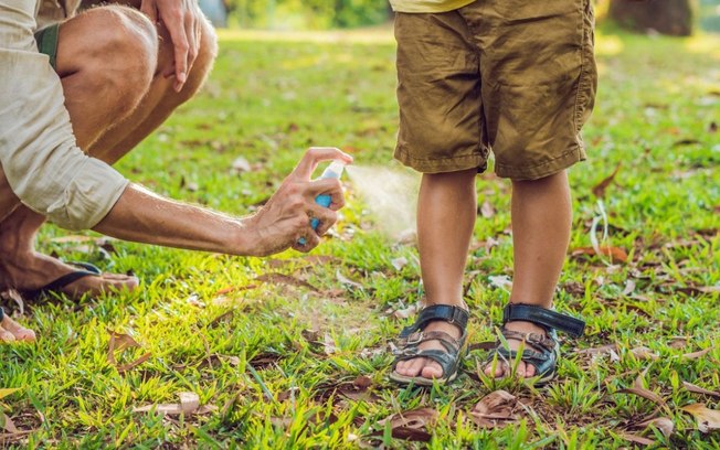 Qual é o melhor repelente contra o mosquito da dengue? 3 opções para proteger sua família