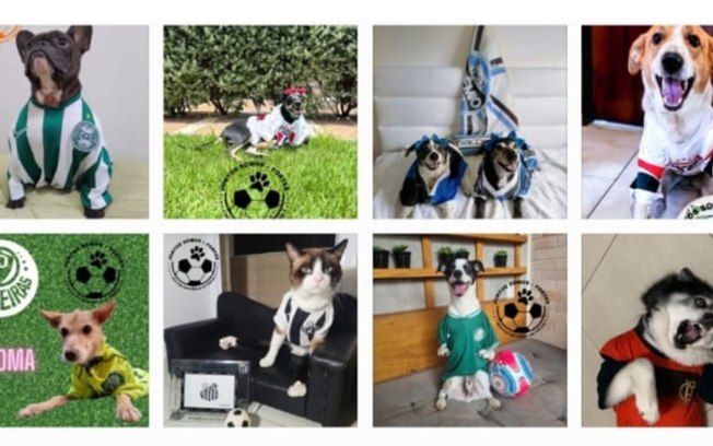 Campanha promove a visibilidade e inclusão de pets com deficiência junto ao futebol
