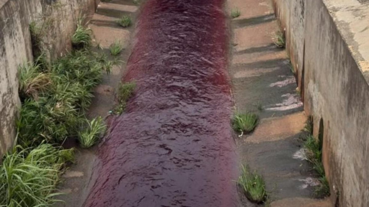 Ribeirão Pirapitinga apresentou coloração vermelha após descarte de produto irregular Ribeirão Pirapitinga apresentou coloração vermelha após descarte de produto irregular
