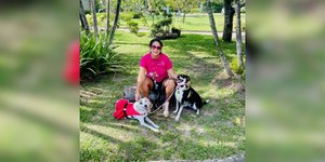 Laços que curam: o poder transformador da adoção animal