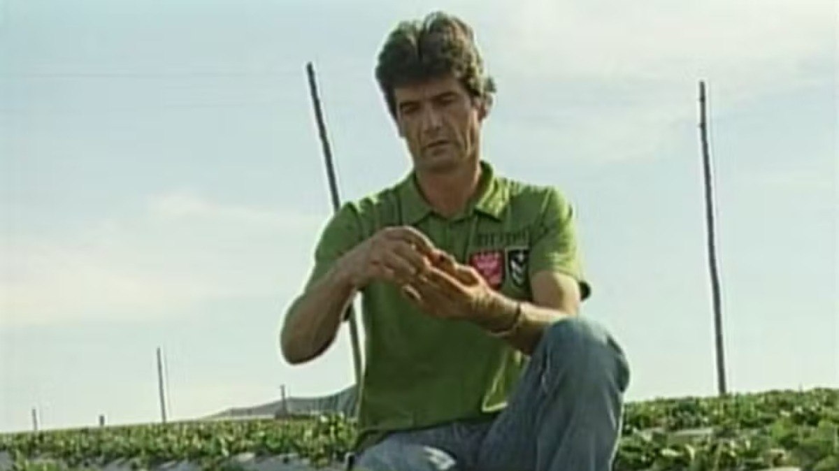 Rei%20do%20Morango%3A%20vi%C3%BAva%20%C3%A9%20condenada%20por%20assassinato%20do%20empres%C3%A1rio