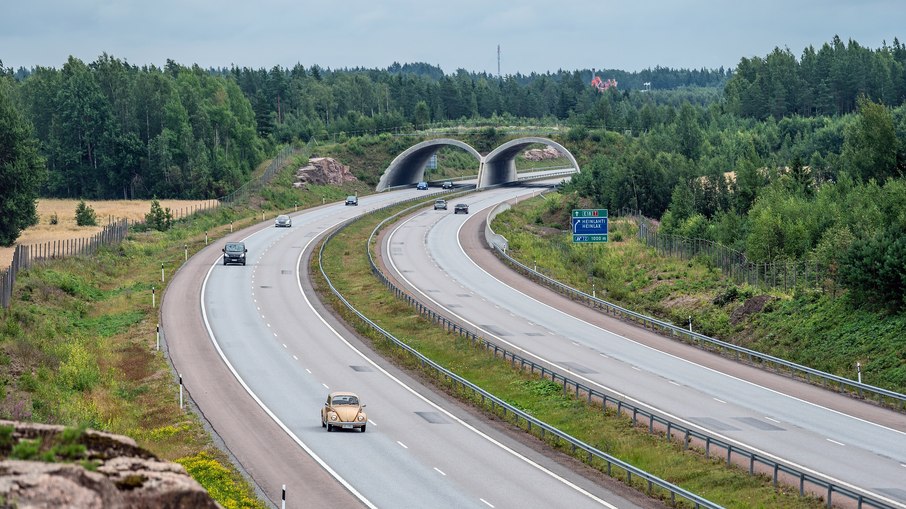 Pontes e corredores ecológicos já salvaram a vida de mais de 10 animais na capital dos Estados Unidos Pontes e corredores ecológicos já salvaram a vida de mais de 10 animais na capital dos Estados Unidos