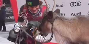 Então é Natal? Brasileiro ganha rena em premiação de esqui