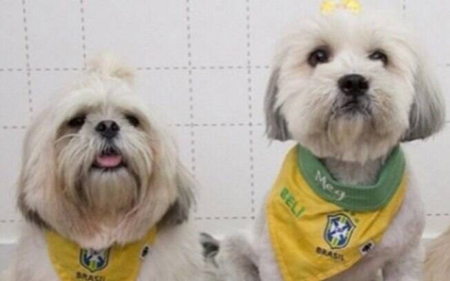 Conheça os cães mais estiloso da Copa do Mundo 2018 eleitos pela DogHero