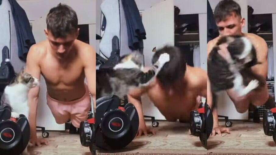 Gato interage com tutor enquanto ele faz flexões 