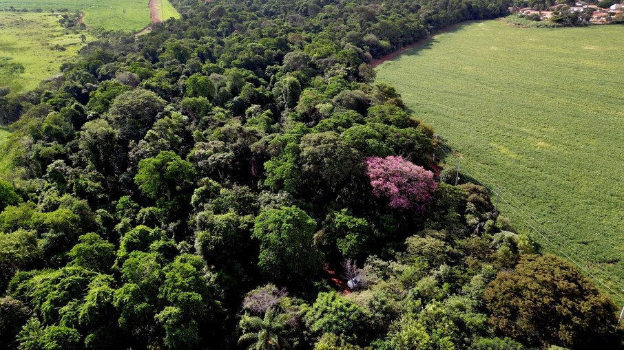 Vista aérea da Mata Santa Genebra