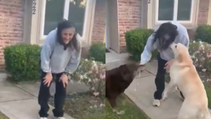 Encontro da astronauta Sunita Williams com cães encanta a web