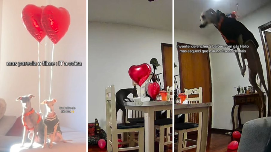 Surpresa romântica termina com Surpresa romântica termina com