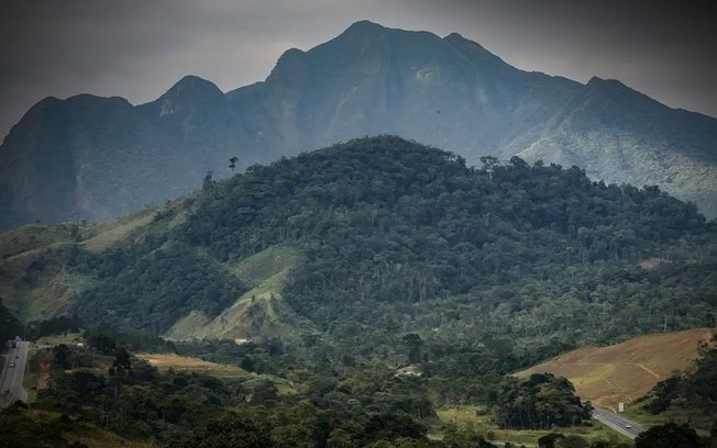 SOS Mata Atlântica mobiliza setor privado para conservação do bioma SOS Mata Atlântica mobiliza setor privado para conservação do bioma