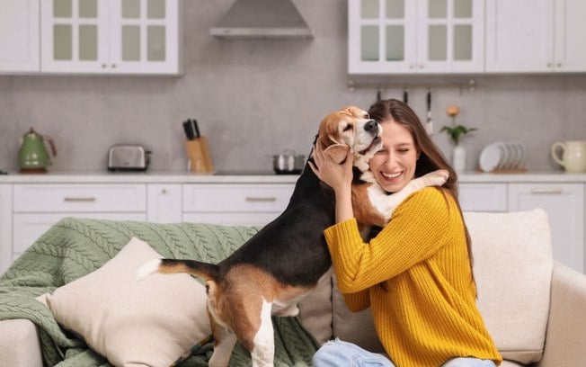 7 raças de cachorro que não tem cheiro