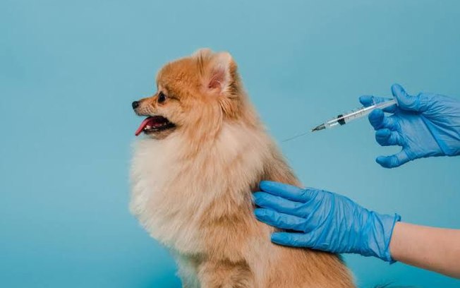 5lpkrphyj28bn4g0ywnzjfjar