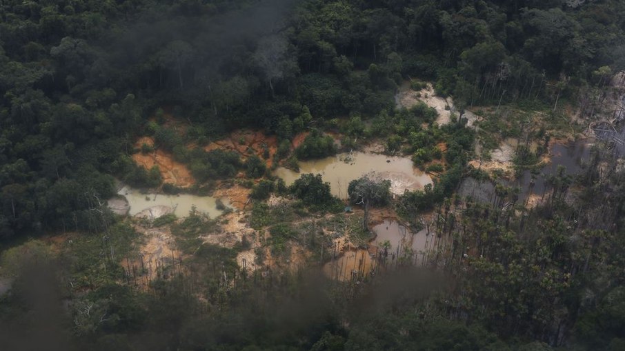 PF desarticulou garimpo ilegal em área de 118 hectares devastada 