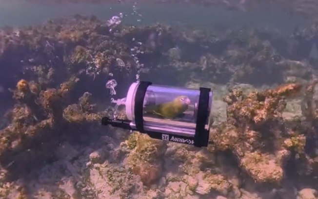 5lziko8lxg81rnpenx9zmww6x