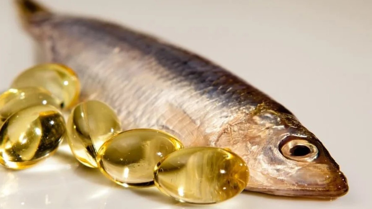 Pesquisas apontam que ômega-3 reduz agressividade em até 28%