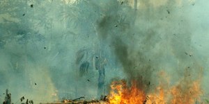  Super El Niño pode ter efeitos catastróficos; veja o que esperar