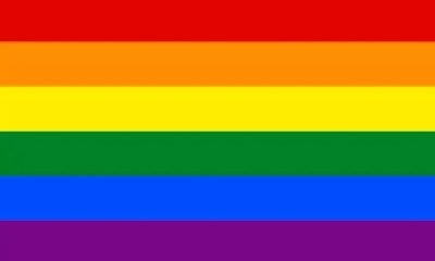 Por que é importante comemorar o Dia do Orgulho LGBTQIAPN+?