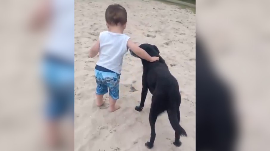 Cachorro ajuda bebê a caminhar e vídeo viraliza Cachorro ajuda bebê a caminhar e vídeo viraliza