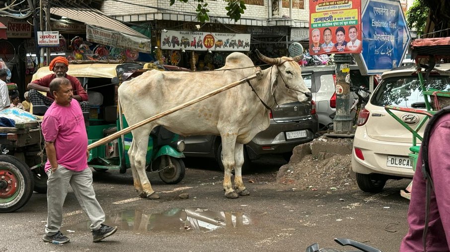 Chawri Bazar um caos no meio da Velha Delhi. Chawri Bazar um caos no meio da Velha Delhi.
