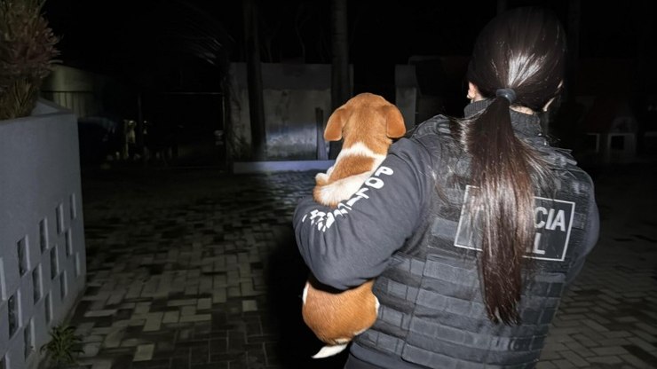 Suposta protetora animal é presa por "eutanásia financeira" no RS