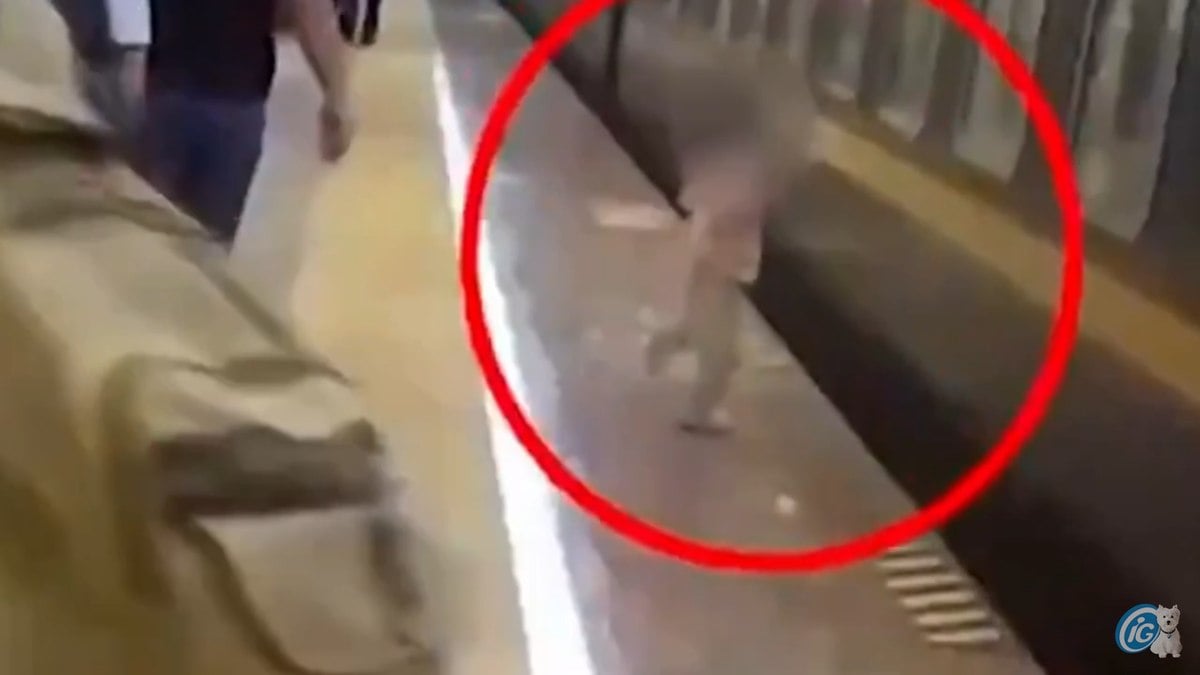 Menina cai em vão de trem na China