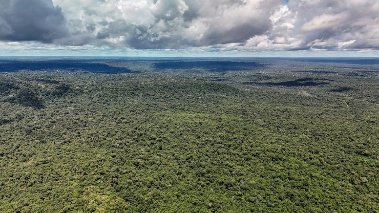 MapBiomas: Amazônia tem menor nível de desmatamento em 41 anos