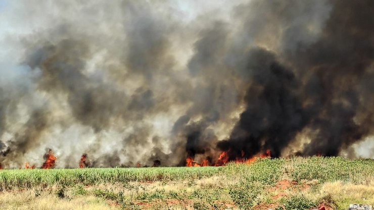 BR-040: queimadas triplicam e rodovia faz parceria com Climatempo