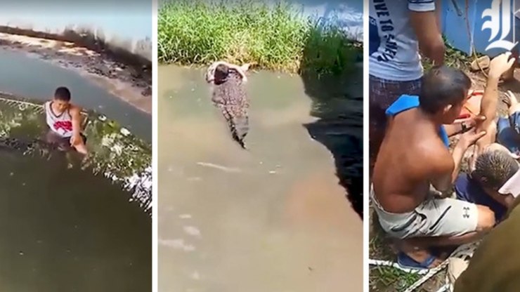 Homem confunde crocodilo com estátua e é atacado; assista