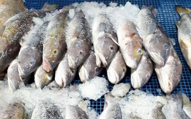 Comprar peixe é uma tarefa que exige muita atenção