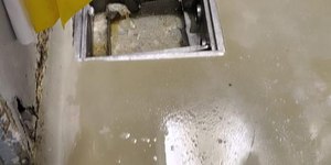 Com insetos e bolor, restaurante em Campinas é interditado