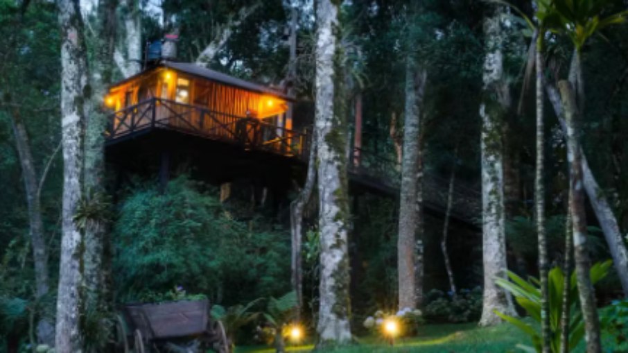Casa na árvore disponível pelo Airbnb Casa na árvore disponível pelo Airbnb