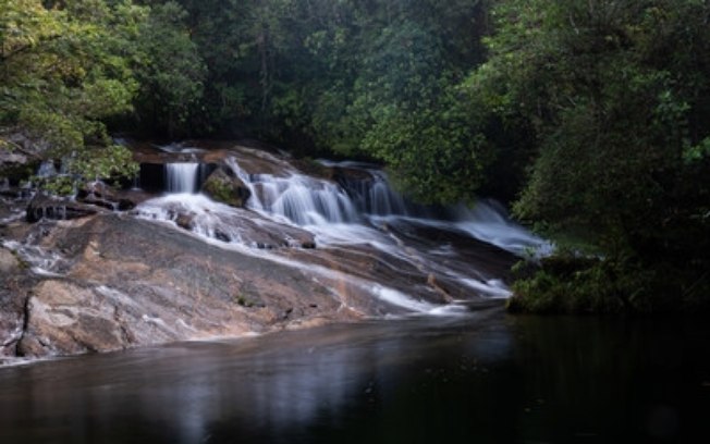 Parque das Neblinas comemora 21 anos de conservação e regeneração ambiental