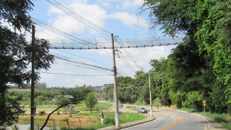 Passagens de fauna ampliam rotas seguras para animais silvestres