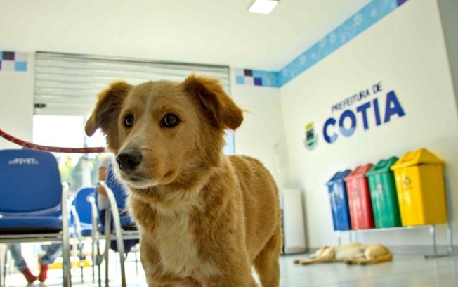 Cotia inaugura primeiro Hospital Veterinário Municipal Cotia inaugura primeiro Hospital Veterinário Municipal