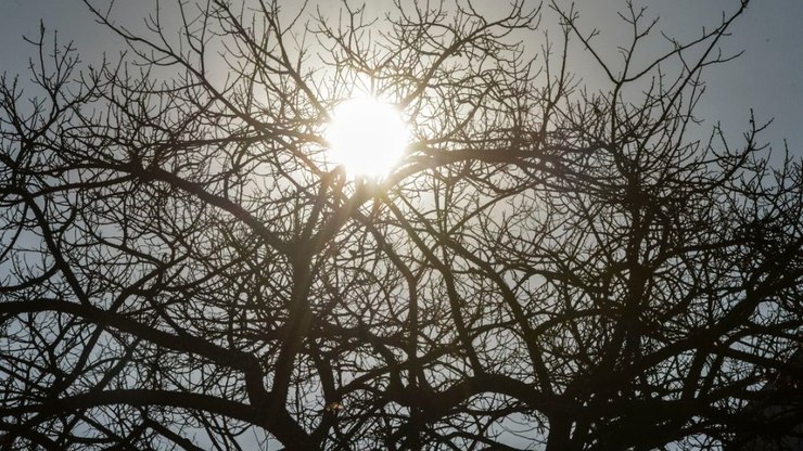 Interior de SP enfrenta semana seca; ar seco acende alerta em Araraquara