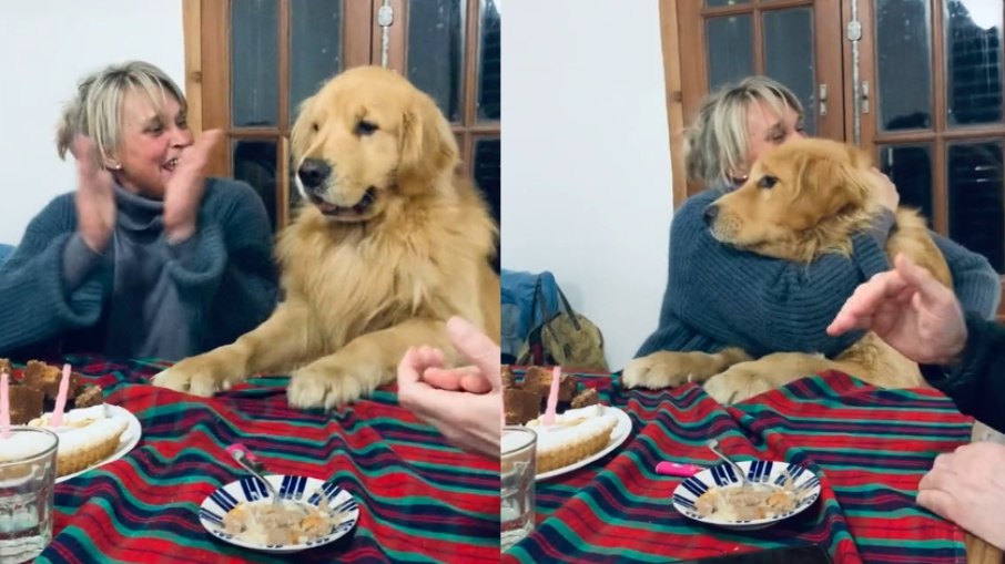 O cãozinho aparece todo feliz à mesa junto aos familiares