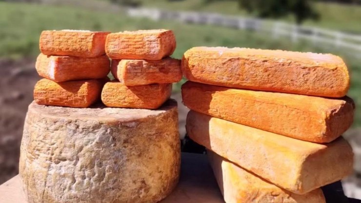 Rota queijeira do Rio de Janeiro une história e sabores