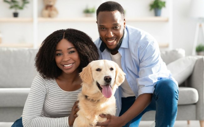 Conheça as causas e os sintomas da gravidez psicológica em cachorras