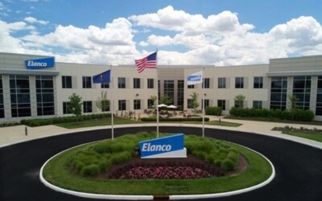 Elanco Saúde Animal supera expectativas e cresce 8% em receita no 2º trimestre de 2025