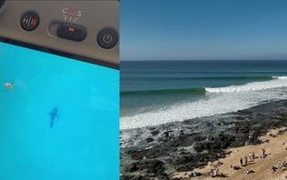 Susto! Presença de tubarão interrompe WSL; surfista filma animal
