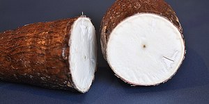 Plantas tóxicas que parecem comida: veja 5 exemplos perigosos