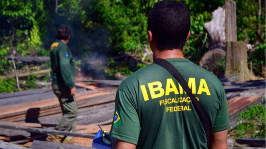 Com salário de até R$ 6 mil, Ibama abre concurso para 1.143 vagas hoje