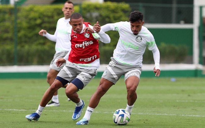 Palmeiras foca em conquistar vaga no G6, mas ainda não larga a toalha na briga pelo título 