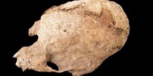 Crânio de 6 mil anos em formato de "cone" é encontrado no Irã