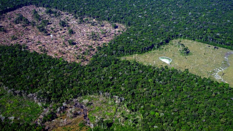 Áreas de desmatamento no município de Careiro da Várzea, no Amazonas próximo às Terras Indígenas do povo Mura
