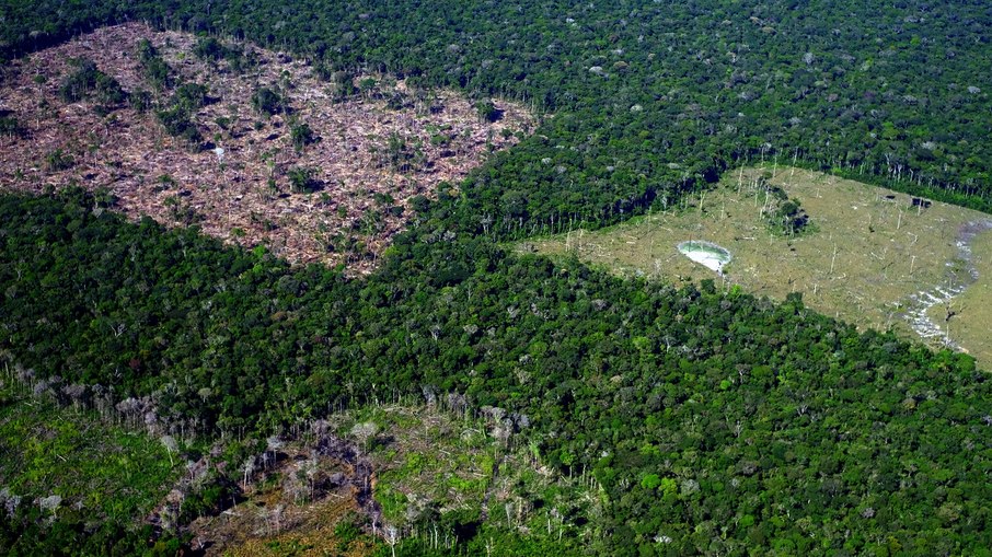 Reino Unido avalia entrar oficialmente no Fundo Amazônia